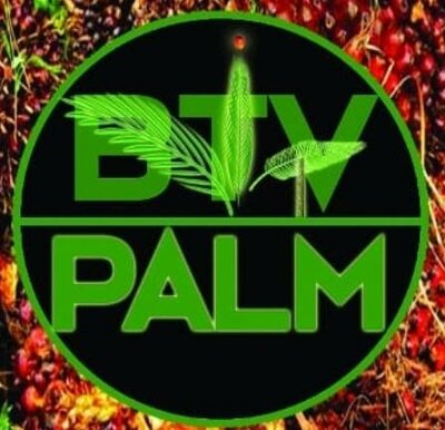 Trademark BTV PALM