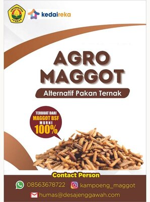 Trademark AGRO MAGGOT