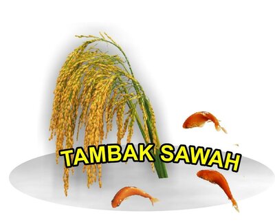 Trademark Tambak Sawah + Logo