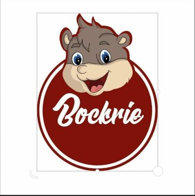 Trademark Bockrie + LOGO