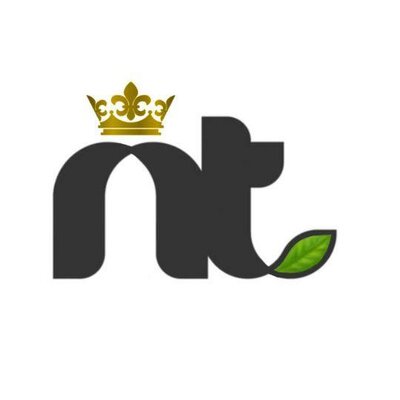 Trademark Logo NT + Lukisan Mahkota