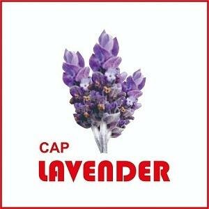 Trademark cap lavender