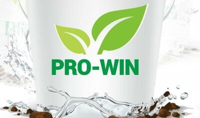 Trademark PRO-WIN + Lukisan