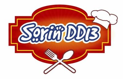 Trademark Sorin DD13