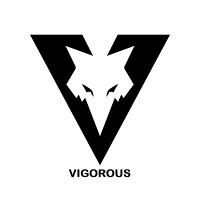 Trademark VIGOROUS