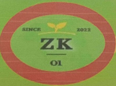 Trademark ZK 01 SINCE 2022 + LOGO