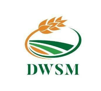 Trademark DWSM