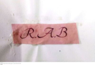 Trademark R.A.B