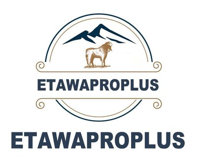 Trademark ETAWAPROPLUS + LOGO