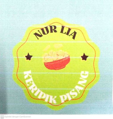 Trademark NUR LIA