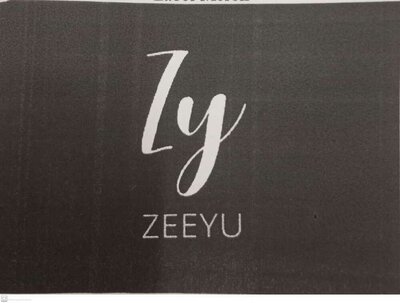 Trademark ZY ZEEYU