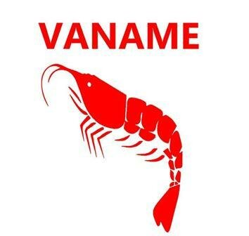 Trademark VANAME