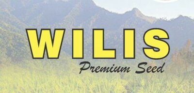 Trademark WILIS PREMIUM SEED