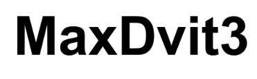 Trademark MaxDvit3