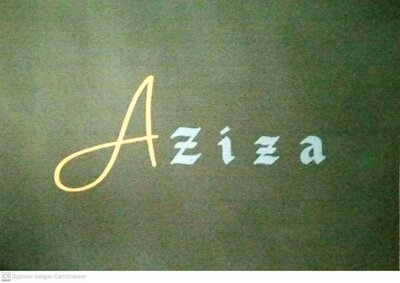 Trademark AZIZA BOLEN