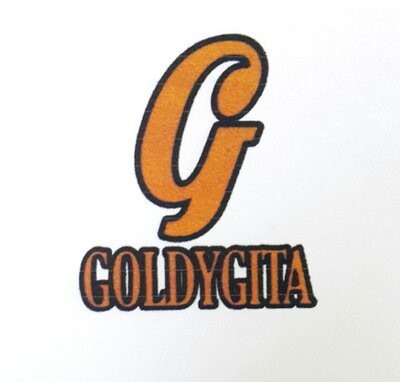 Trademark GOLDYGITA