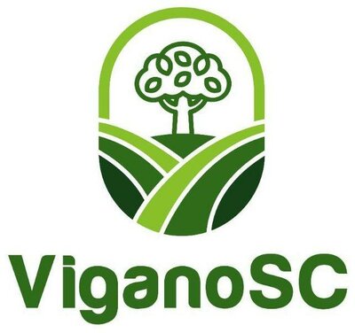 Trademark ViganoSC + Logo