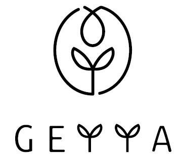 Trademark GEYYA