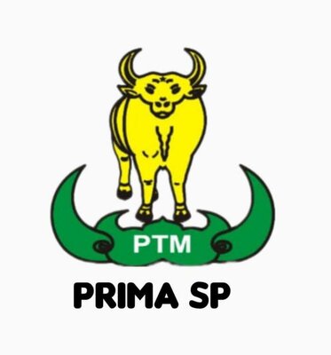 Trademark PRIMA SP