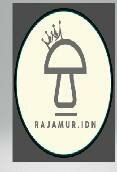 Trademark RAJAMUR.IDN