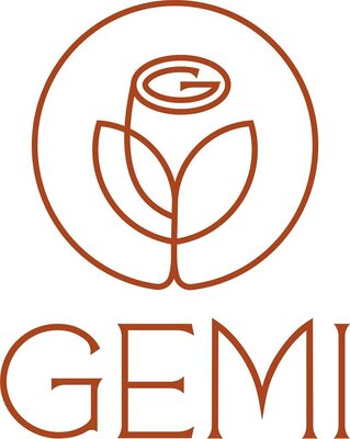 Trademark GEMI + Logo