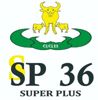 Trademark SSP 36 SUPER PLUS