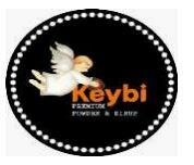 Trademark Keybi