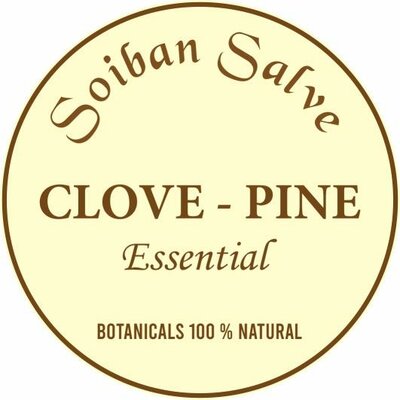 Trademark SOIBAN SALVE