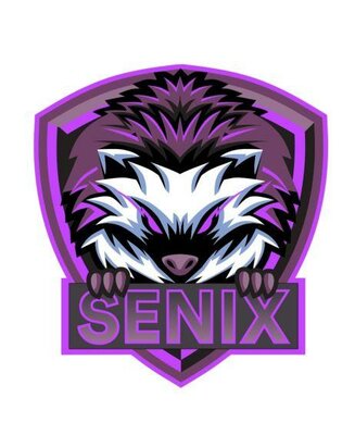 Trademark SENIX & Logo