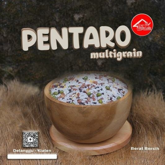 Trademark Pentaro Multigrain