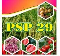 Trademark PSP 29 DAN LUKISAN