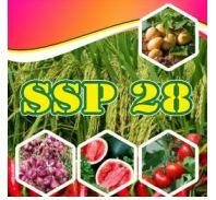 Trademark SSP 28 DAN LUKISAN