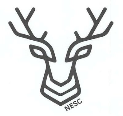 Trademark NESC