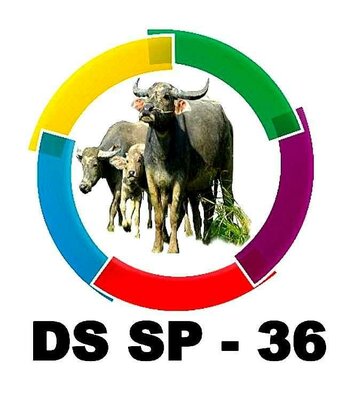 Trademark DS SP-36