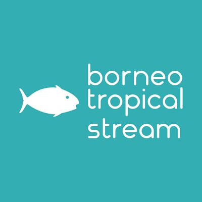 Trademark Borneo Tropical Stream