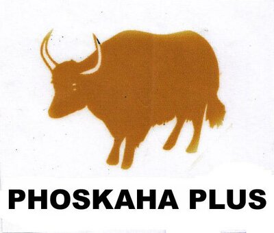 Trademark PHOSKAHA PLUS