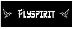 Trademark FLYSPIRIT + LOGO