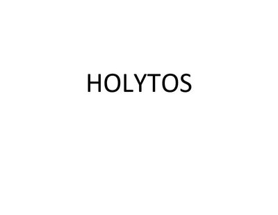 Trademark HOLYTOS