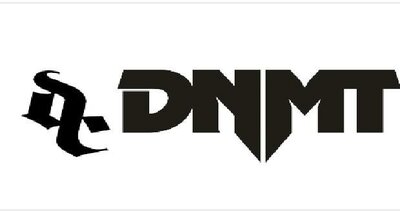 Trademark DNMT + LOGO