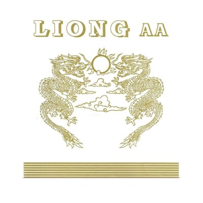 Trademark LIONG AA