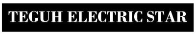 Trademark TEGUH ELECTRIC STAR