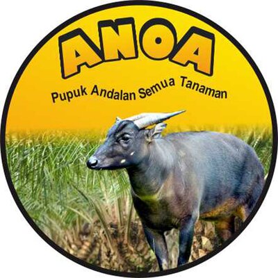 Trademark ANOA