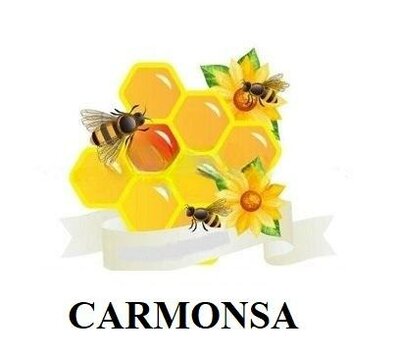 Trademark CARMONSA DAN LOGO