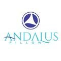 Trademark Andalus Pillow