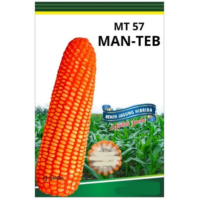 Trademark MT 57 MAN-TEB