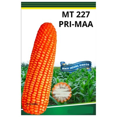 Trademark MT 227 PRI-MAA