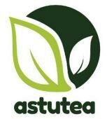 Trademark astutea dan lukisan