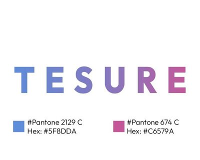 Trademark TESURE