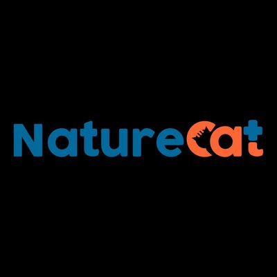 Trademark Nature Cat