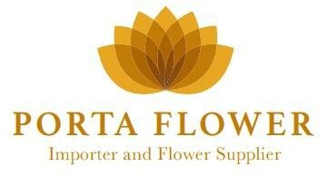 Trademark PORTA FLOWER + LOGO